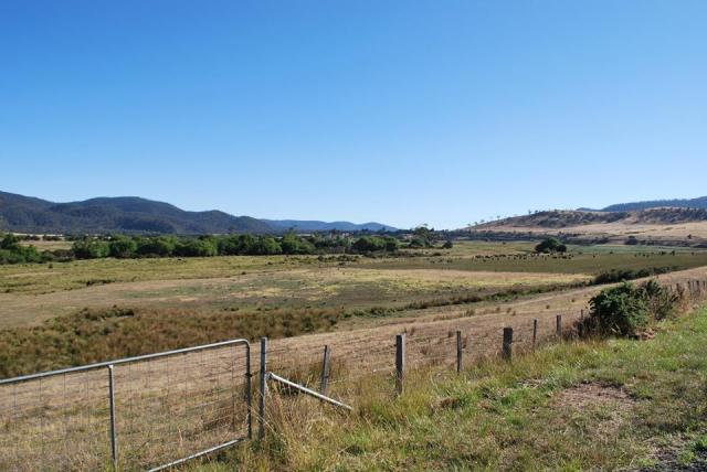 10898220_894867927197881_506258127565441219_n