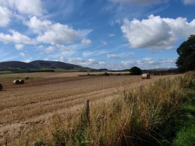 13SouthLanarkshire farmland