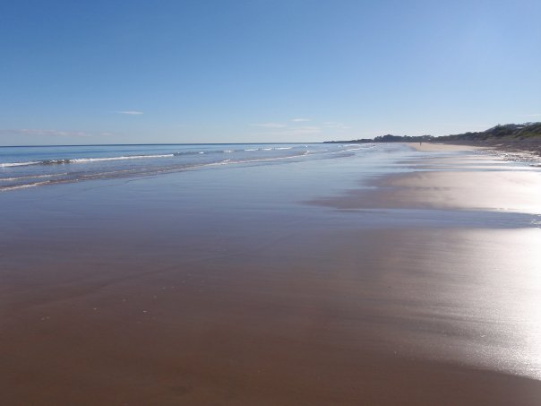 18774_104202269597788_4368732_n