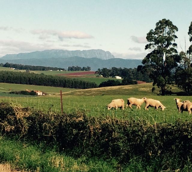 brH_TNENAycEzq4l3P2qmYO6T0yiJT5WIZvvqqXJHeU-2048x1841