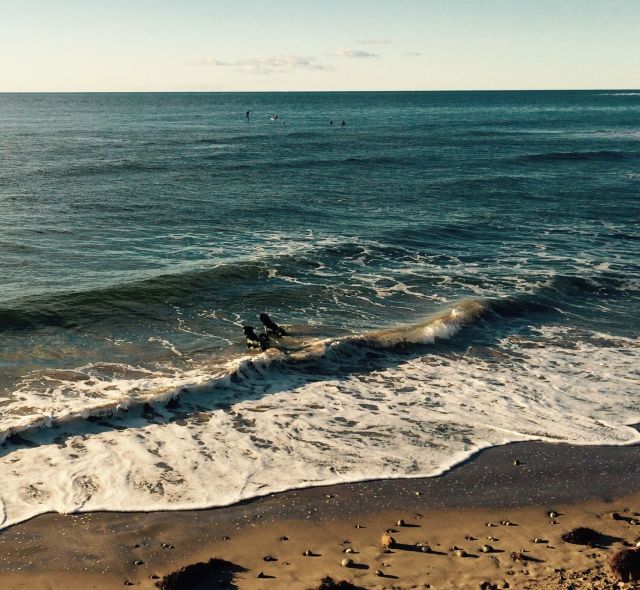 mEXRN7uimsREm4kUTisaucWAhIsUKb4B5y9kVRf8R80-2048x1889