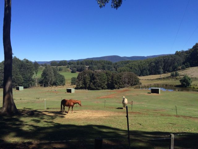 mGJ4ibQEaS5oSyvaB1sYLLehed8R5WPC0bI1fDL-k7g-2048x1536