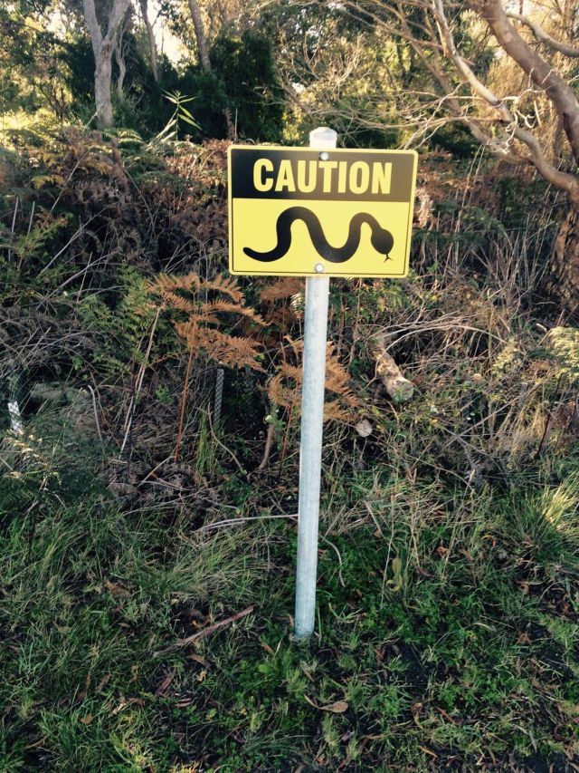 qx6dcb-Gcd-O5m5d4aQO7fXQmpZlhtqxydlhH3fCcyE-1536x2048