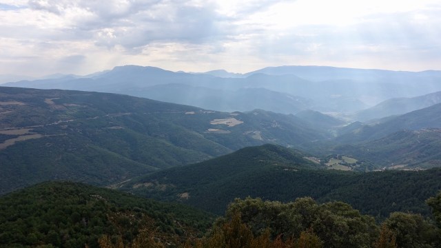 0175A6F3-333B-43E6-81C0-9E0A19F87CCD