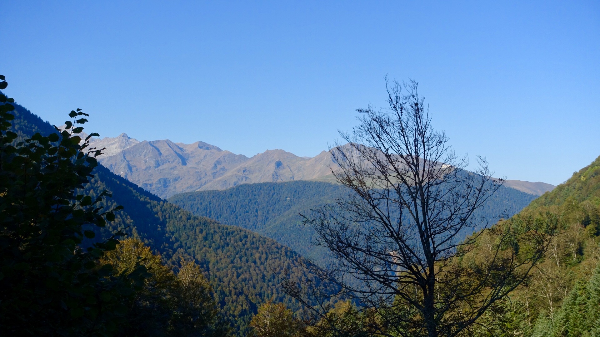 10E72D76-14E7-4E56-A39C-13348D6B815A