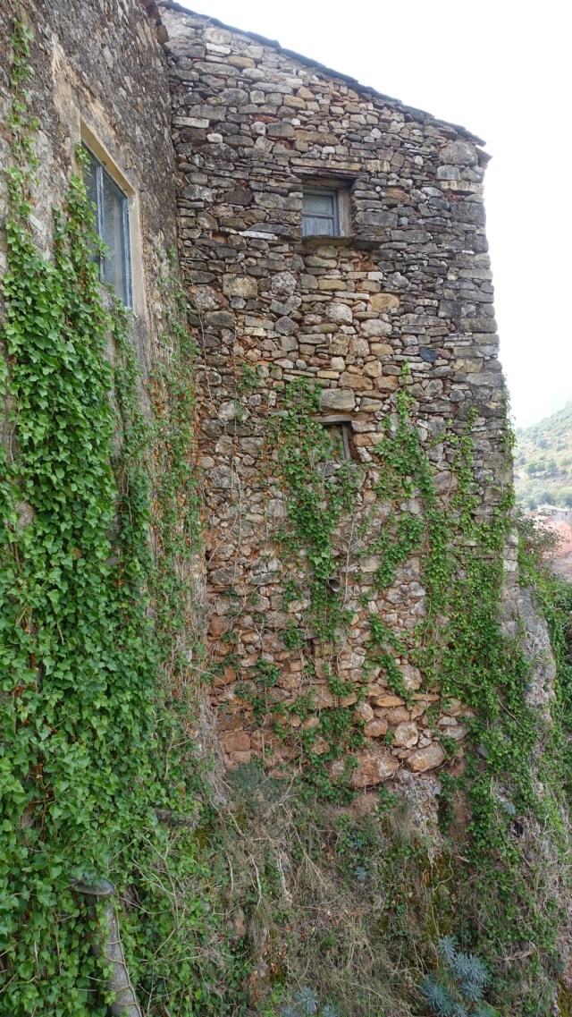 121EACA9-27FB-473A-BF0C-841FDF39EA9B