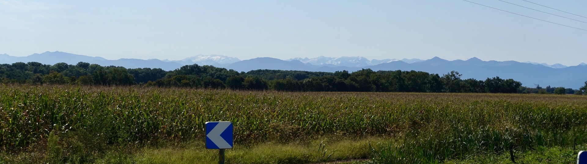 12502577-A609-44EB-985A-C4564662D0A7