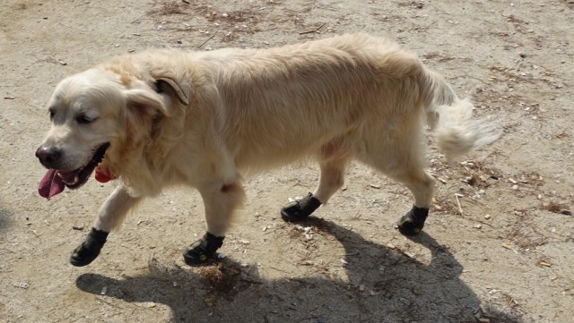 148A2D19-A5E3-44CE-8CF8-1883CE73D1FD