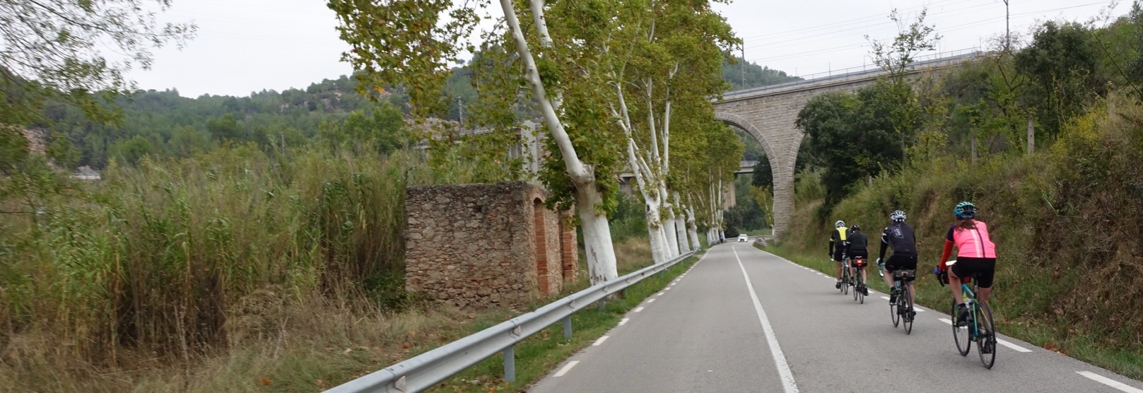 15C49075-2E3A-4E83-980C-FB6F2E7FF121