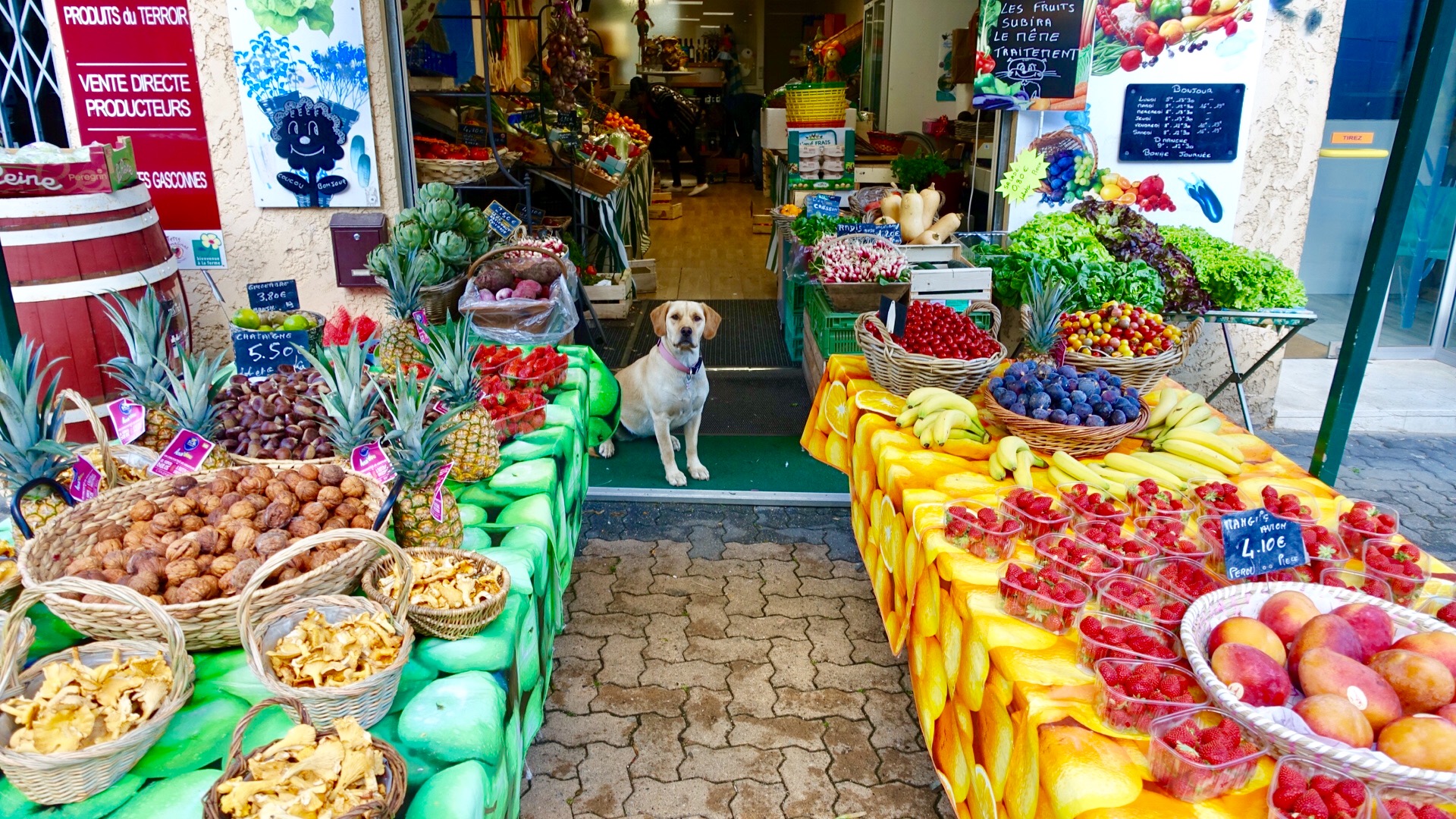 1DF76C88-3337-48EC-8FDC-F917259D9B47