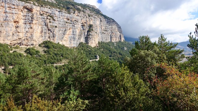 1F921F4F-0D5D-4A9A-8F2A-E4AE2EFF8CBA