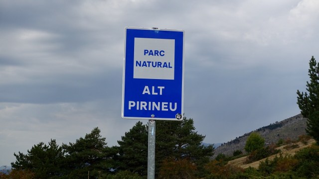 1FC6D8BF-3450-4F93-A4D3-F3120FF50845