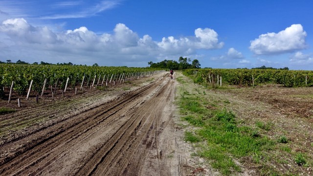 22A59744-44EF-4548-BF67-69FF8947E992