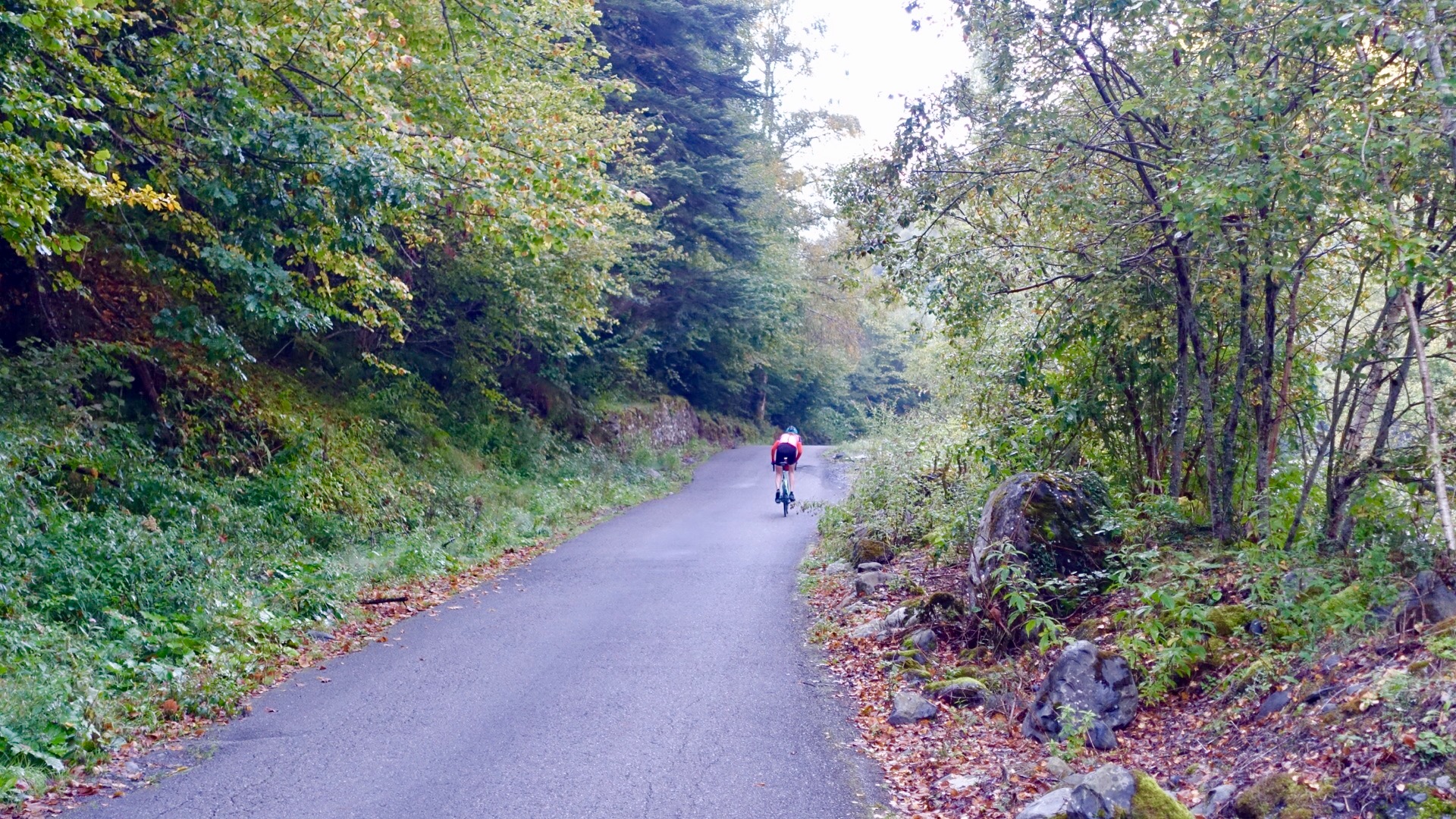 268949E9-5FBF-4D2F-AD4A-A124AE0A9D89