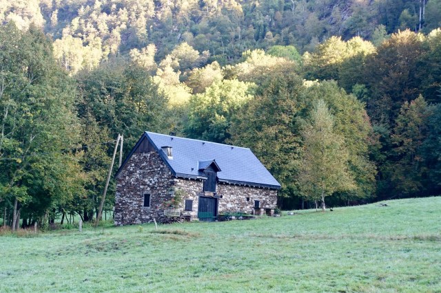 288C2A32-2AC0-43BF-83D1-734990978870