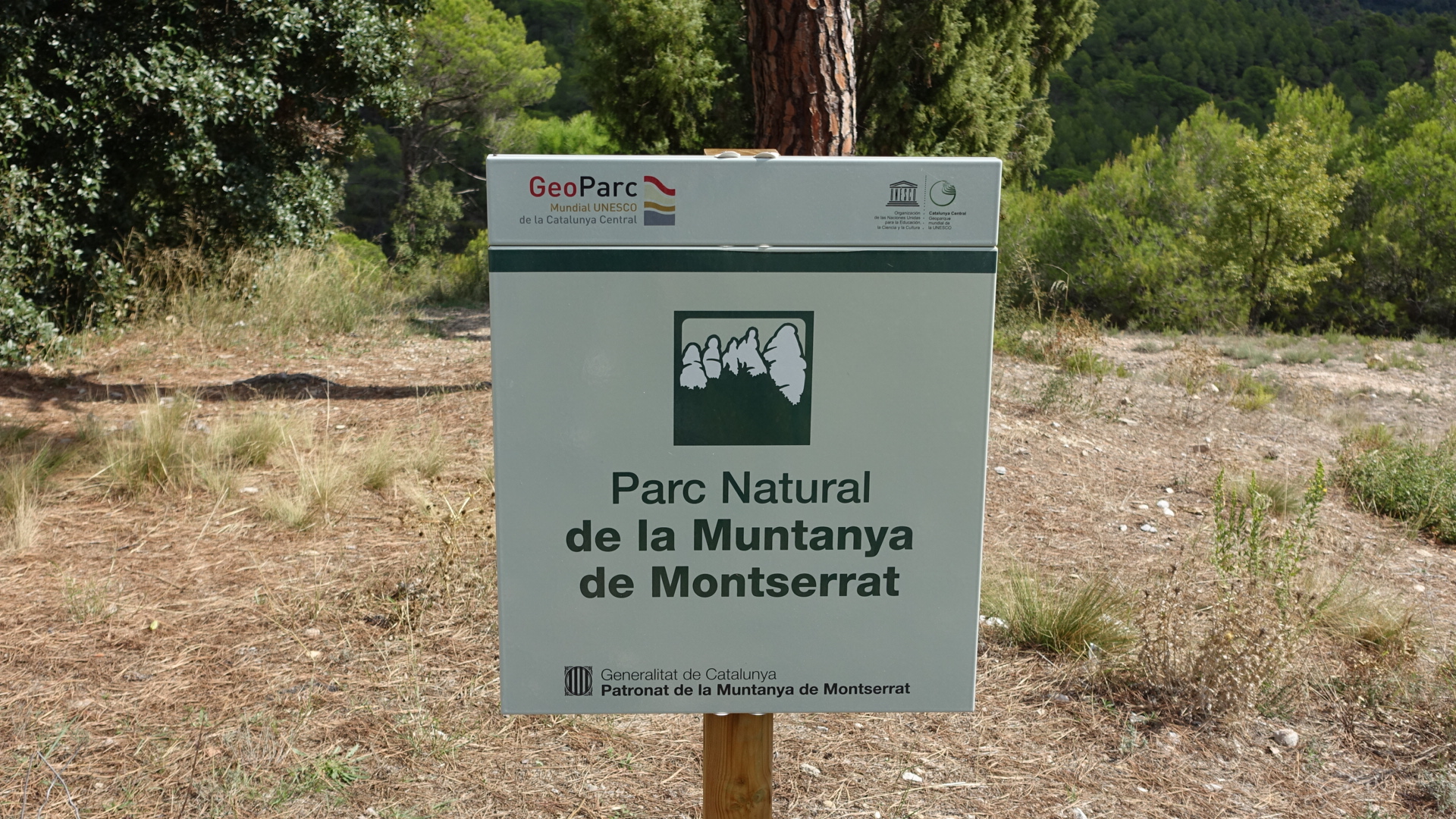 298A5692-1635-490F-979C-76288BBE7347