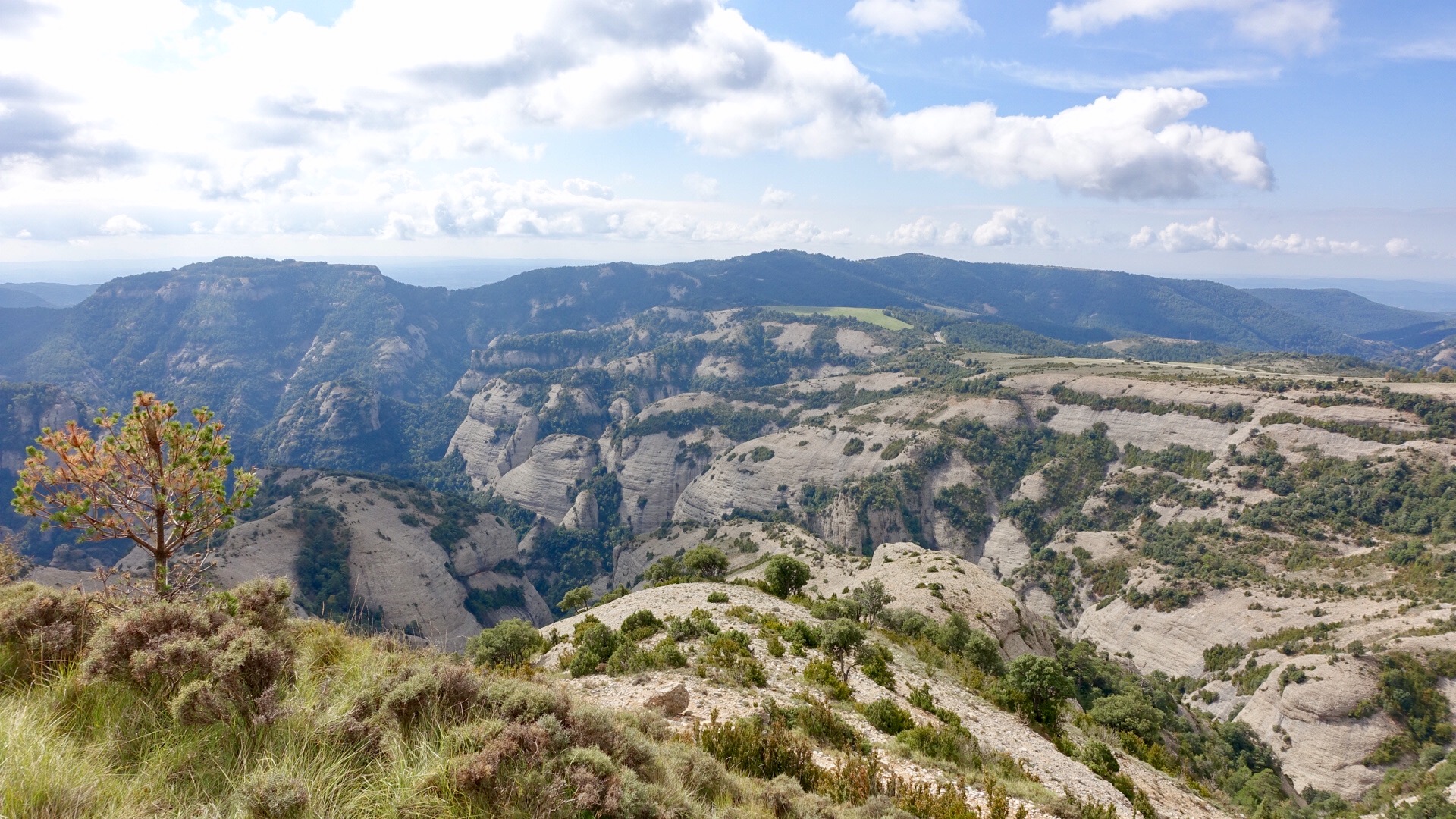 29F512DB-9D14-47C7-A41E-0327A22BEFD7