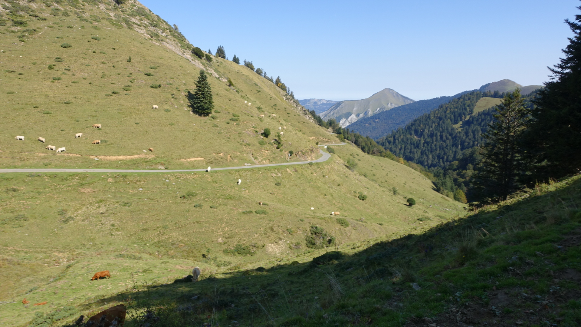 2C102D8B-16EA-45AD-A70A-B2BD209B65E1