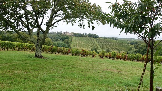 2E5631AA-E75D-47FF-84C8-D8512E733F14