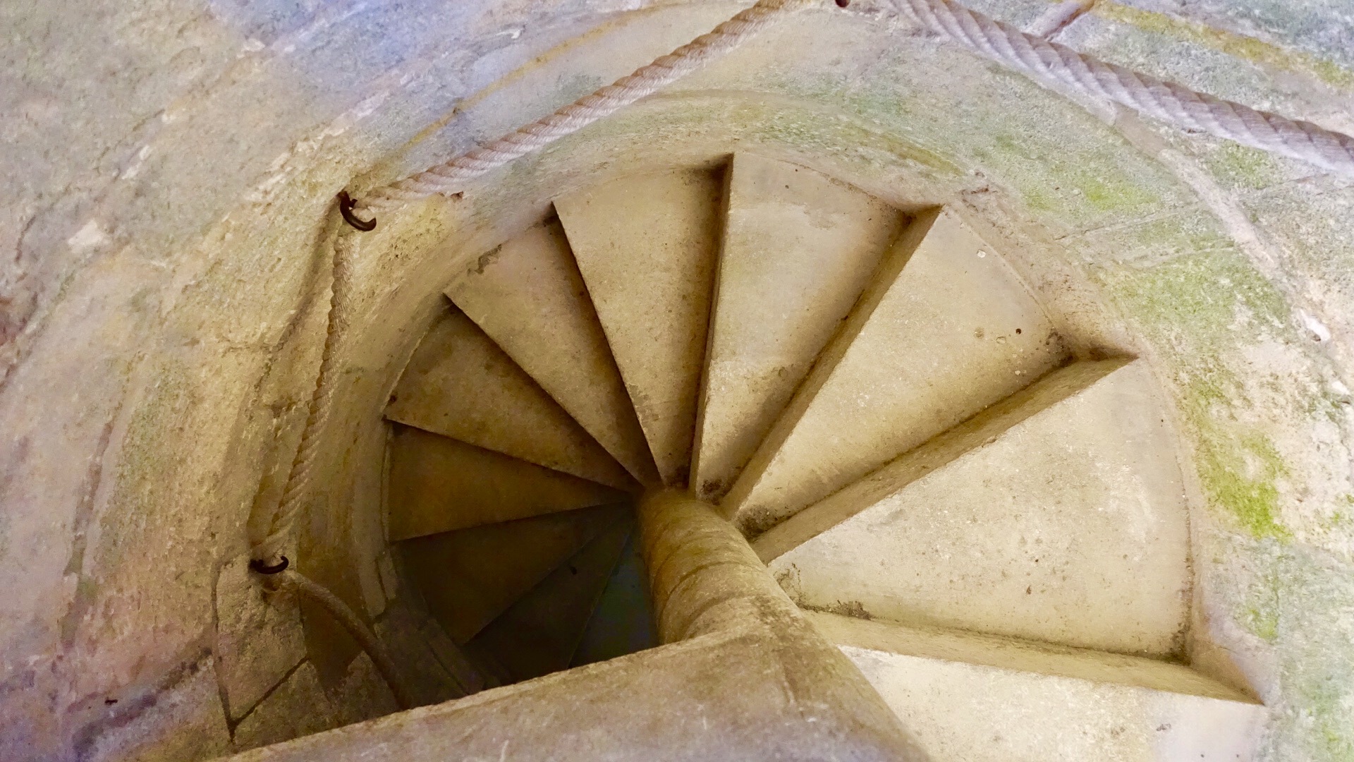 3214B573-828A-4C51-9E49-741E632D9517