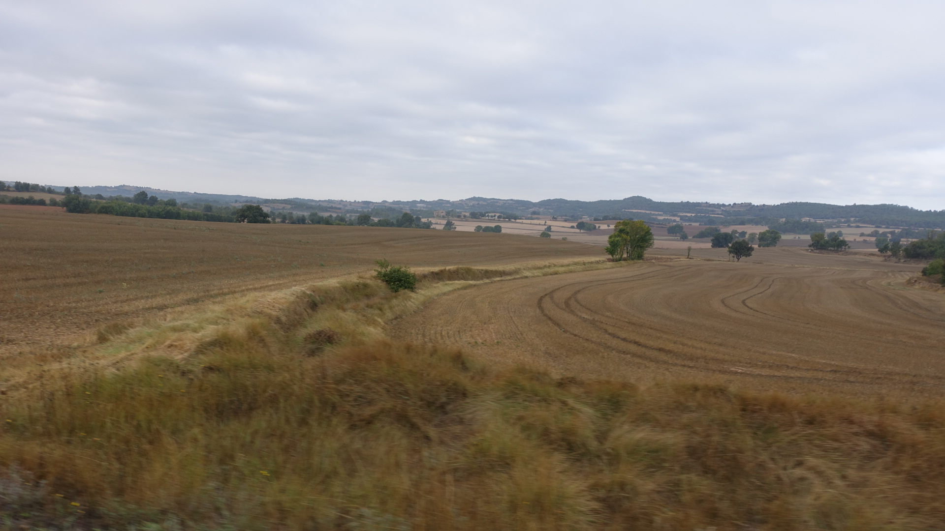 347E03C4-60D3-4B81-94D7-361617EA0226