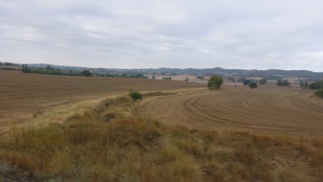 347E03C4-60D3-4B81-94D7-361617EA0226