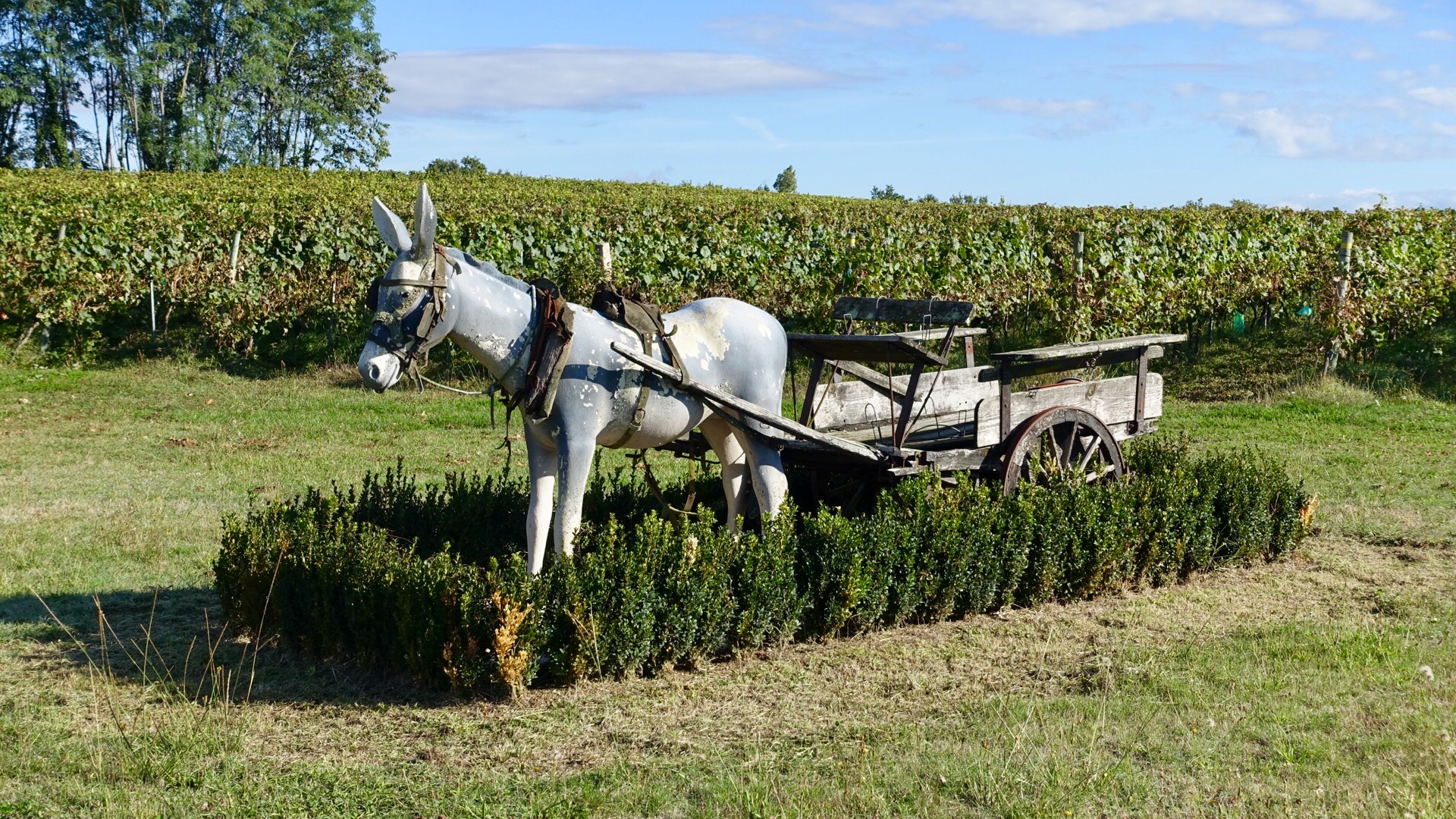 350A919A-B820-4284-8E2C-FB0F5D8EA5B5