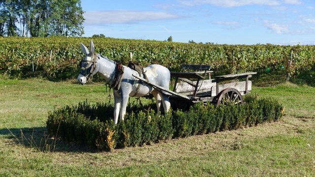 350A919A-B820-4284-8E2C-FB0F5D8EA5B5