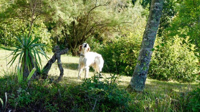 35A18290-60C1-4827-95B2-78F7950729CB