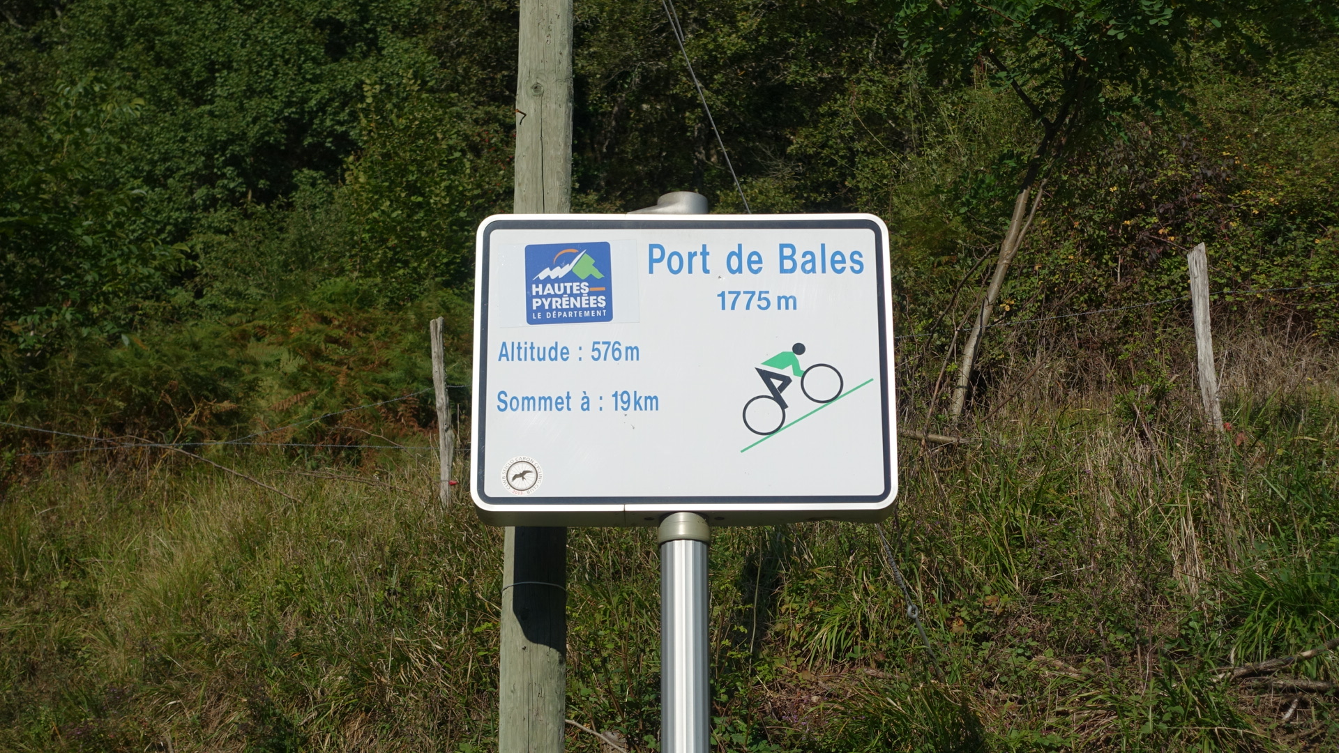 3883DFD7-35B7-4C80-867F-91FEDCBDE54C