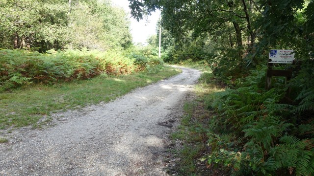 42A1E4E0-F9D6-4A5A-878F-F11F4DB3BD1F