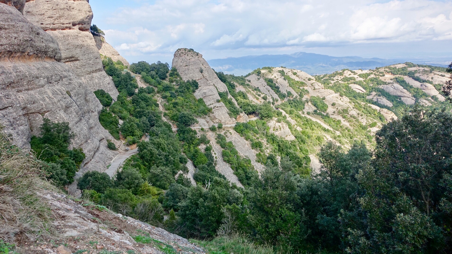 43C9AFDA-E94D-4D65-BF0A-8F4E0CF1F3D5