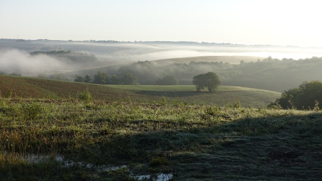 44A549ED-CEED-482C-A215-6AAEF68AF8C7