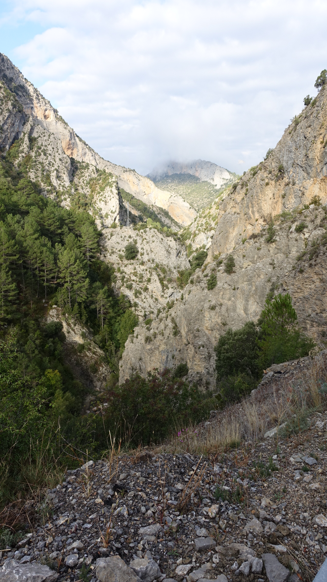 4BD7C86D-5CC9-4BEF-B9ED-F5443F5E6821