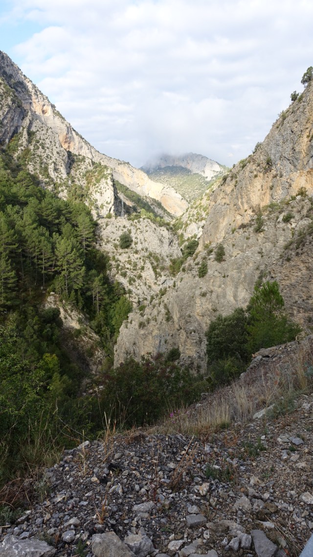 4BD7C86D-5CC9-4BEF-B9ED-F5443F5E6821