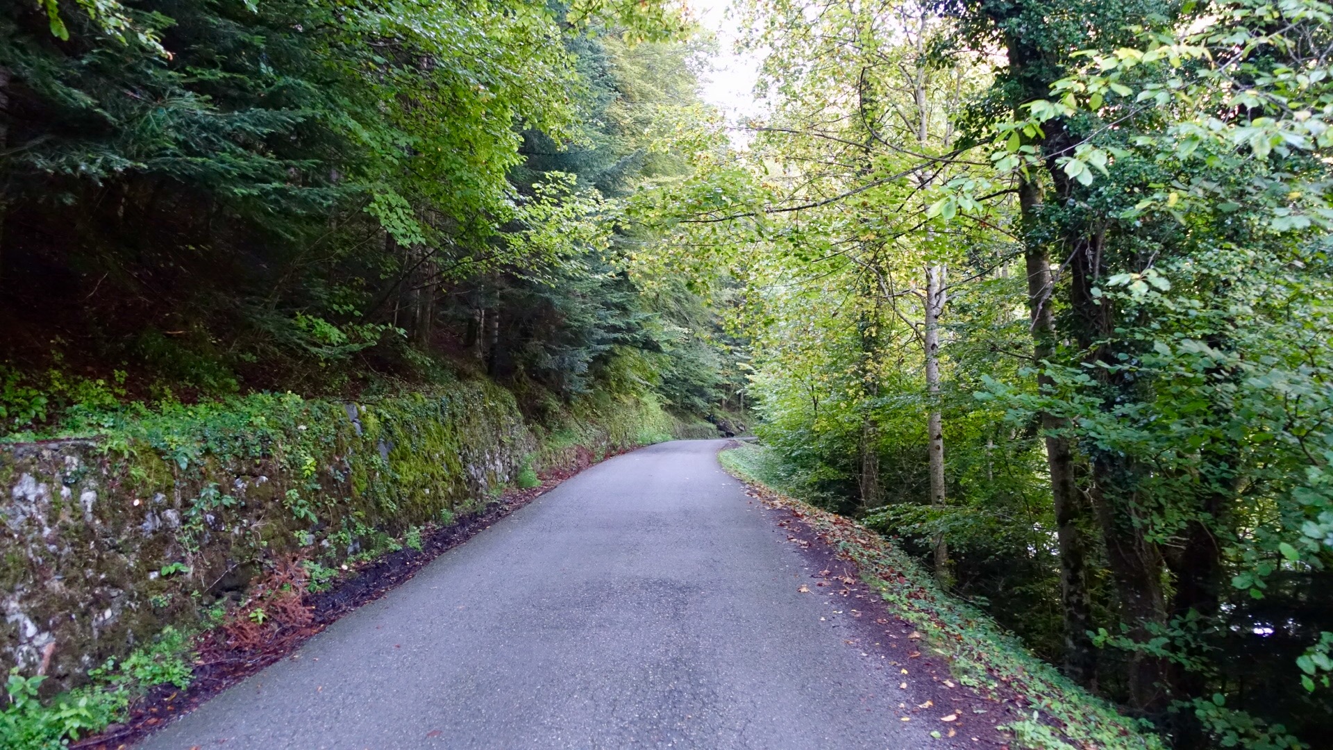 50E07A2B-6AF7-46A6-BF09-82CE2990F8A9