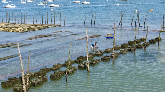 520D0D4C-FE52-45A3-BDD1-981ED82DEABC