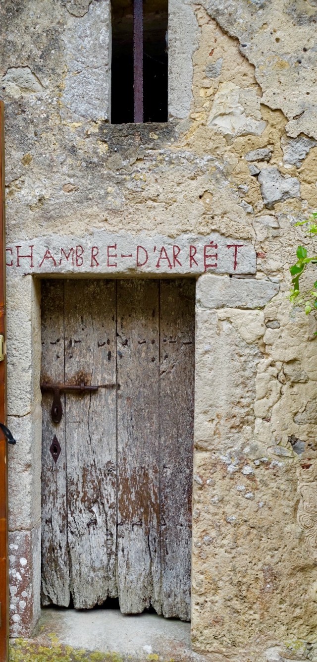 540E9EF5-AD32-4D54-A1FC-C5B1083509B4