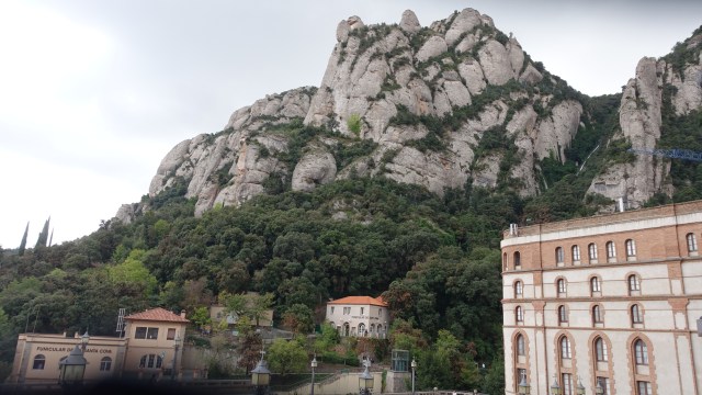 58825127-C07C-4D21-B88F-E4F3F8B1AD45