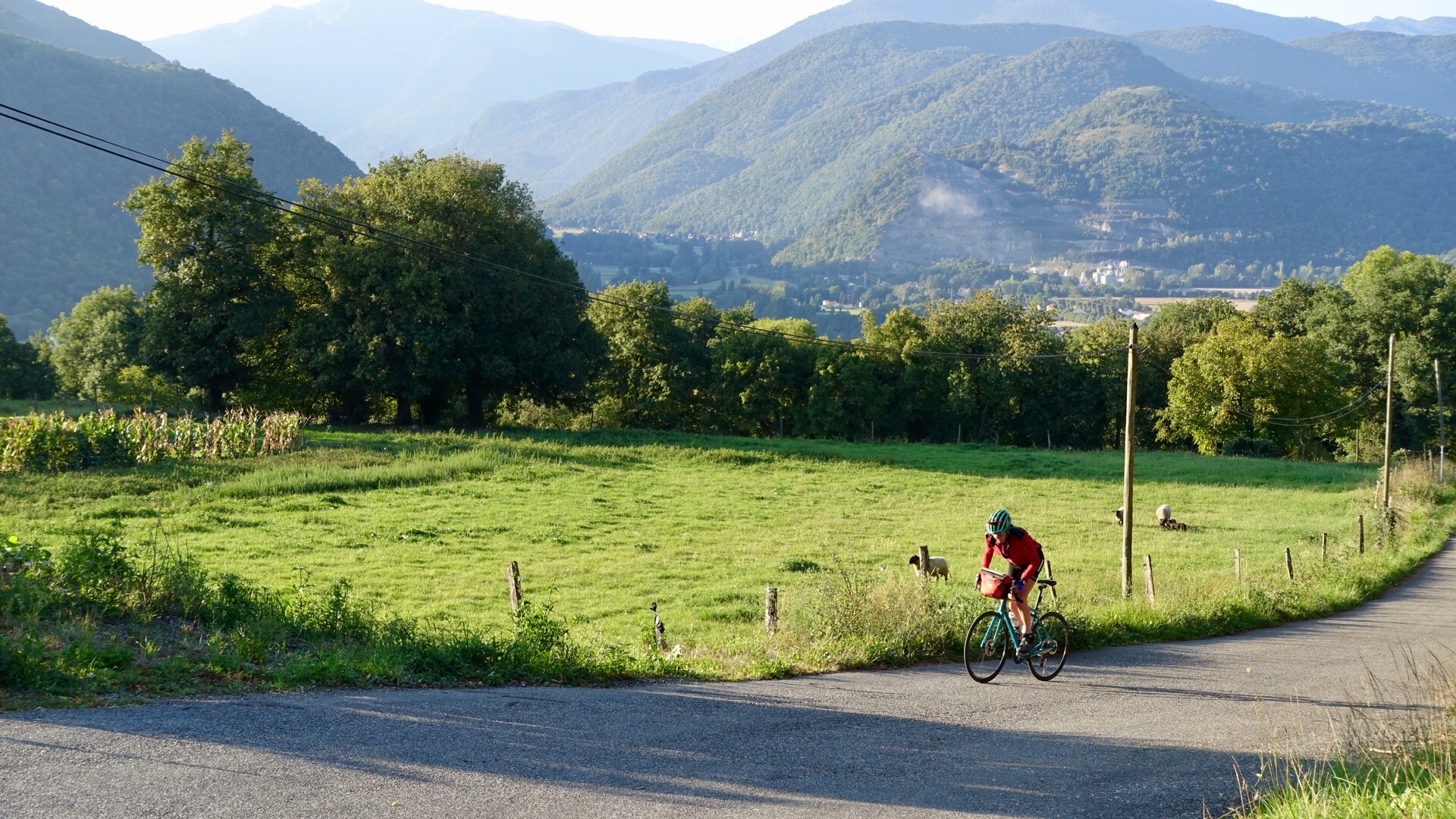 5AF3E2DF-1F52-4BB7-A686-A01C3E5C27E8