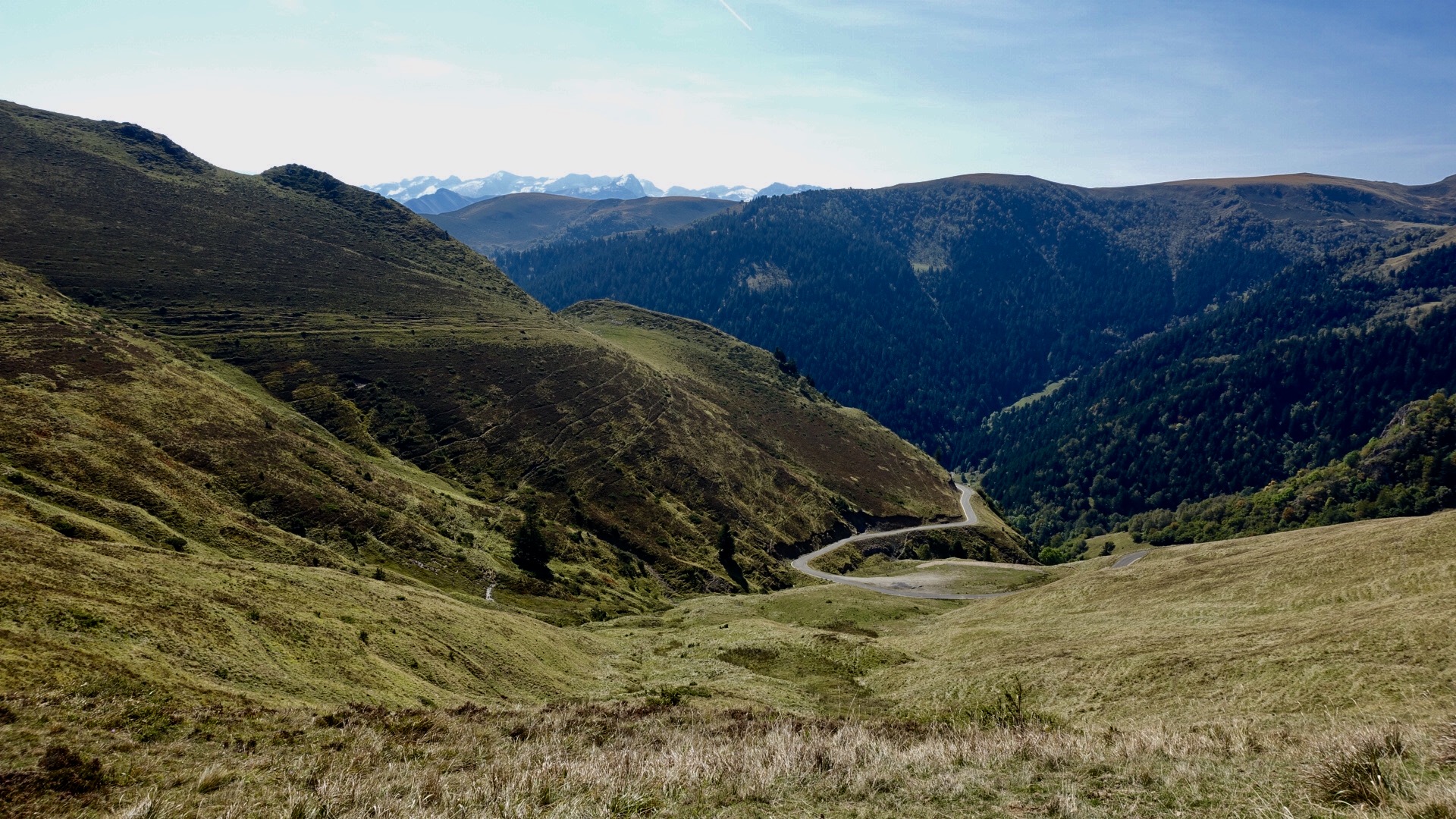 5D5CF515-98EC-407C-8E60-B24C9D2C43FE