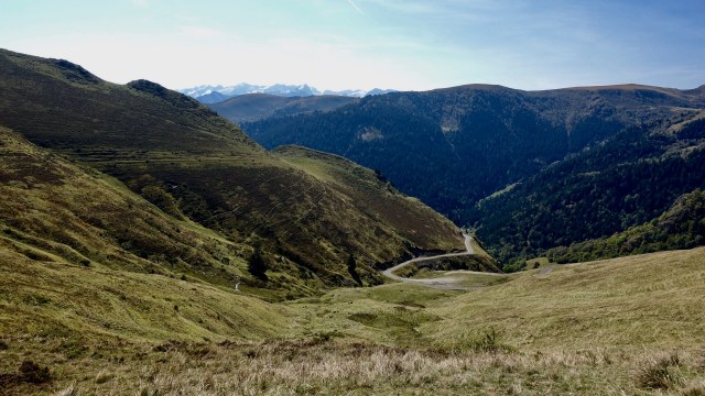 5D5CF515-98EC-407C-8E60-B24C9D2C43FE