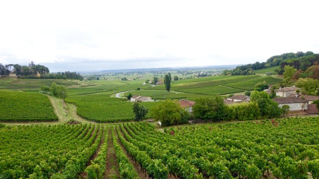 62A57931-11EB-4CA6-BF2D-372599CF2FF5