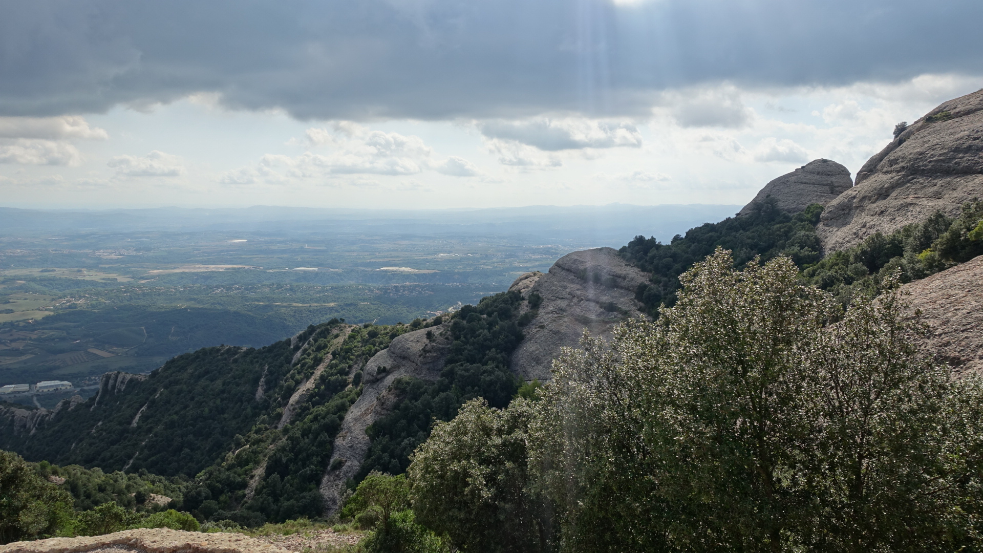 6775E7F9-6F01-4A67-B297-24F4959D813A