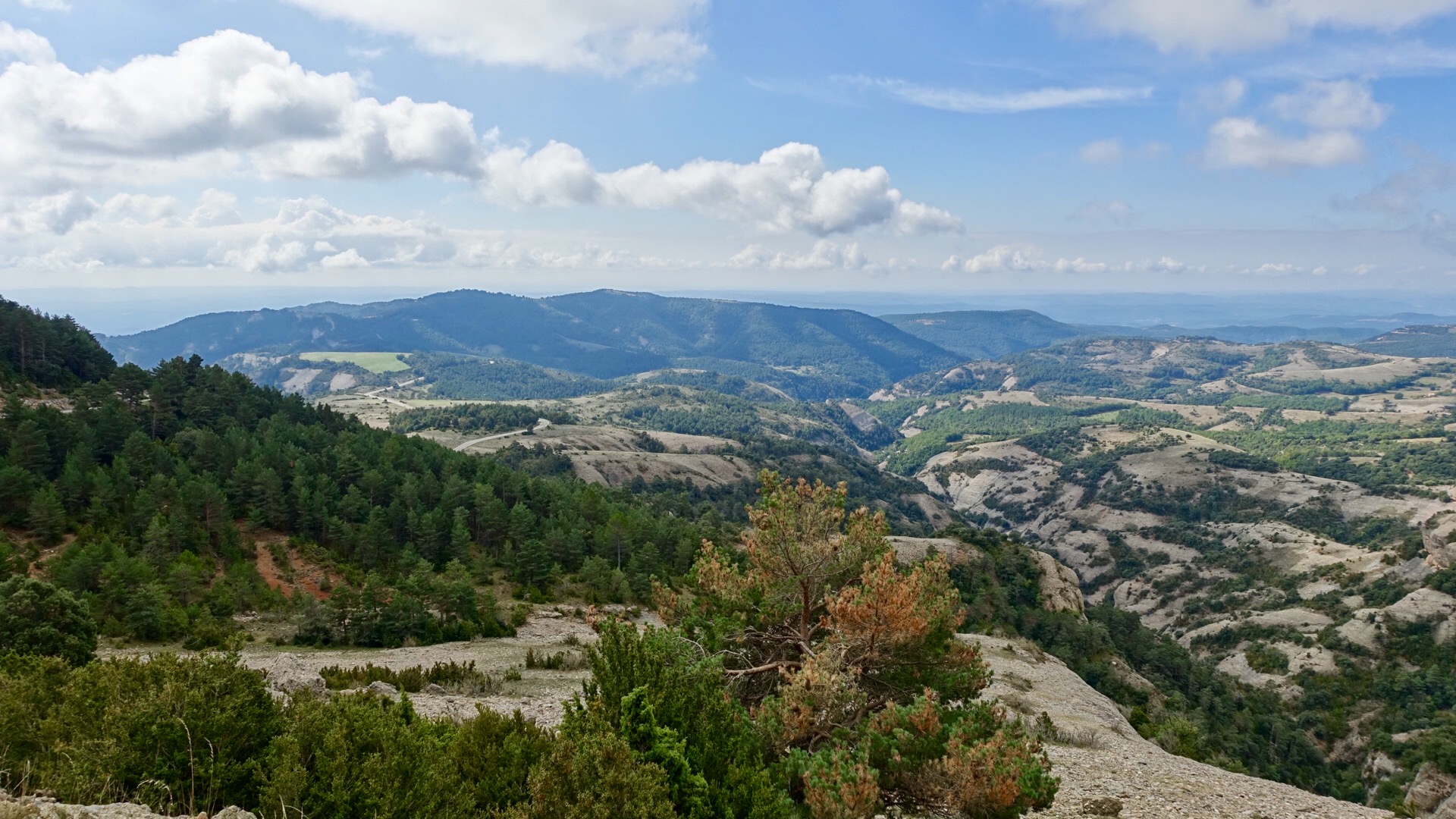 6DE21D11-D464-4F88-B17D-A34B821EB1E3