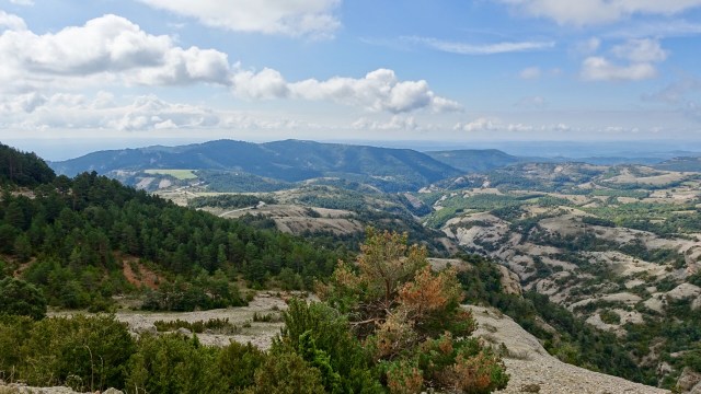 6DE21D11-D464-4F88-B17D-A34B821EB1E3