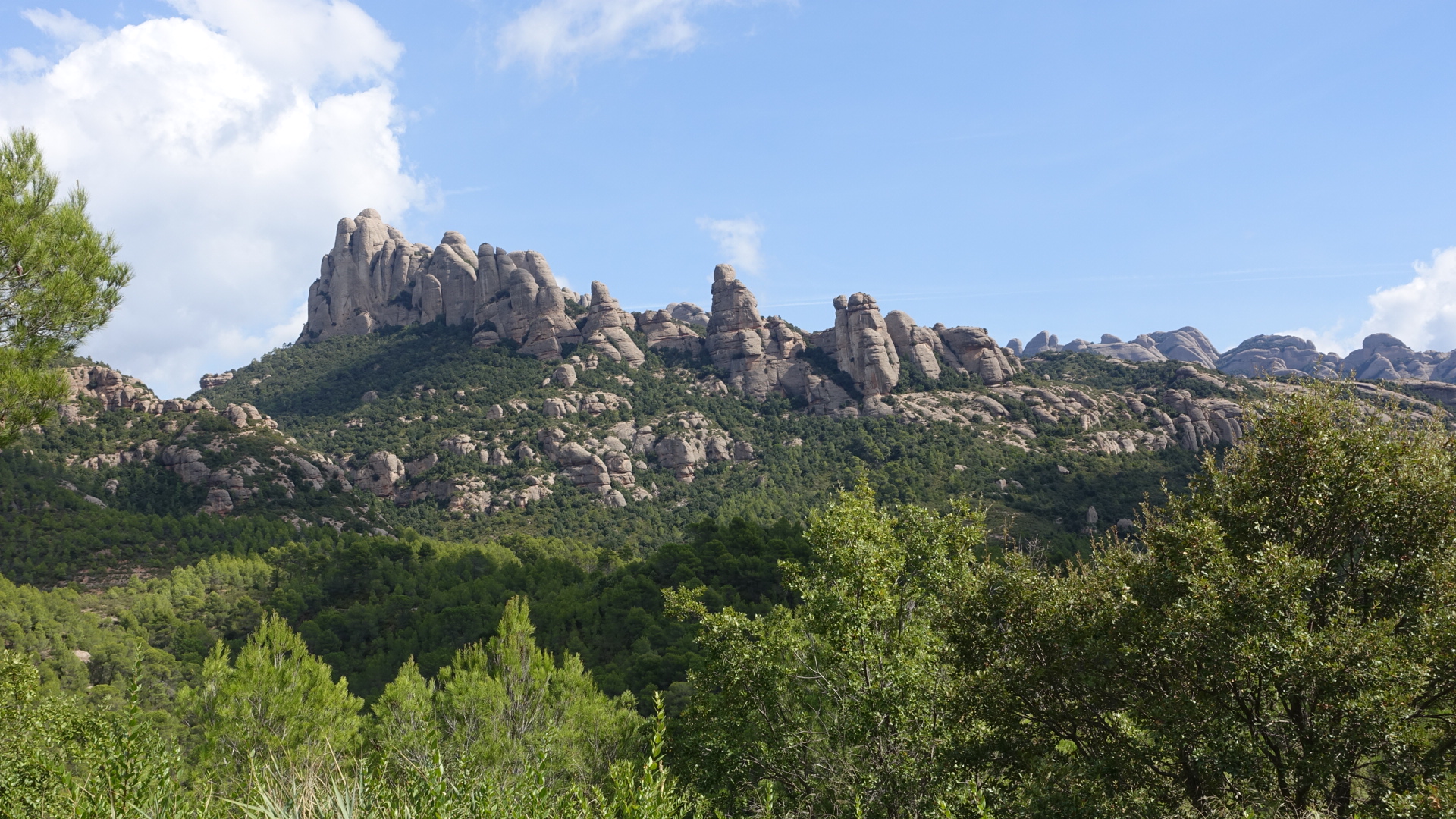 7ECFC2F3-AD77-4CD7-BBDC-6008F7EAEEF4