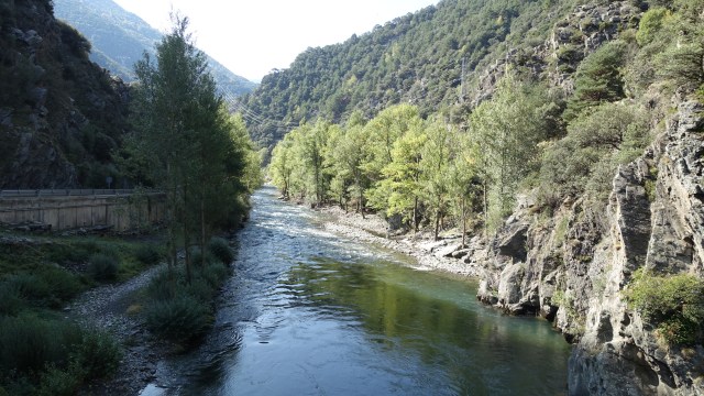 8160C5FE-0F93-4361-9485-4A3AA28A78B3