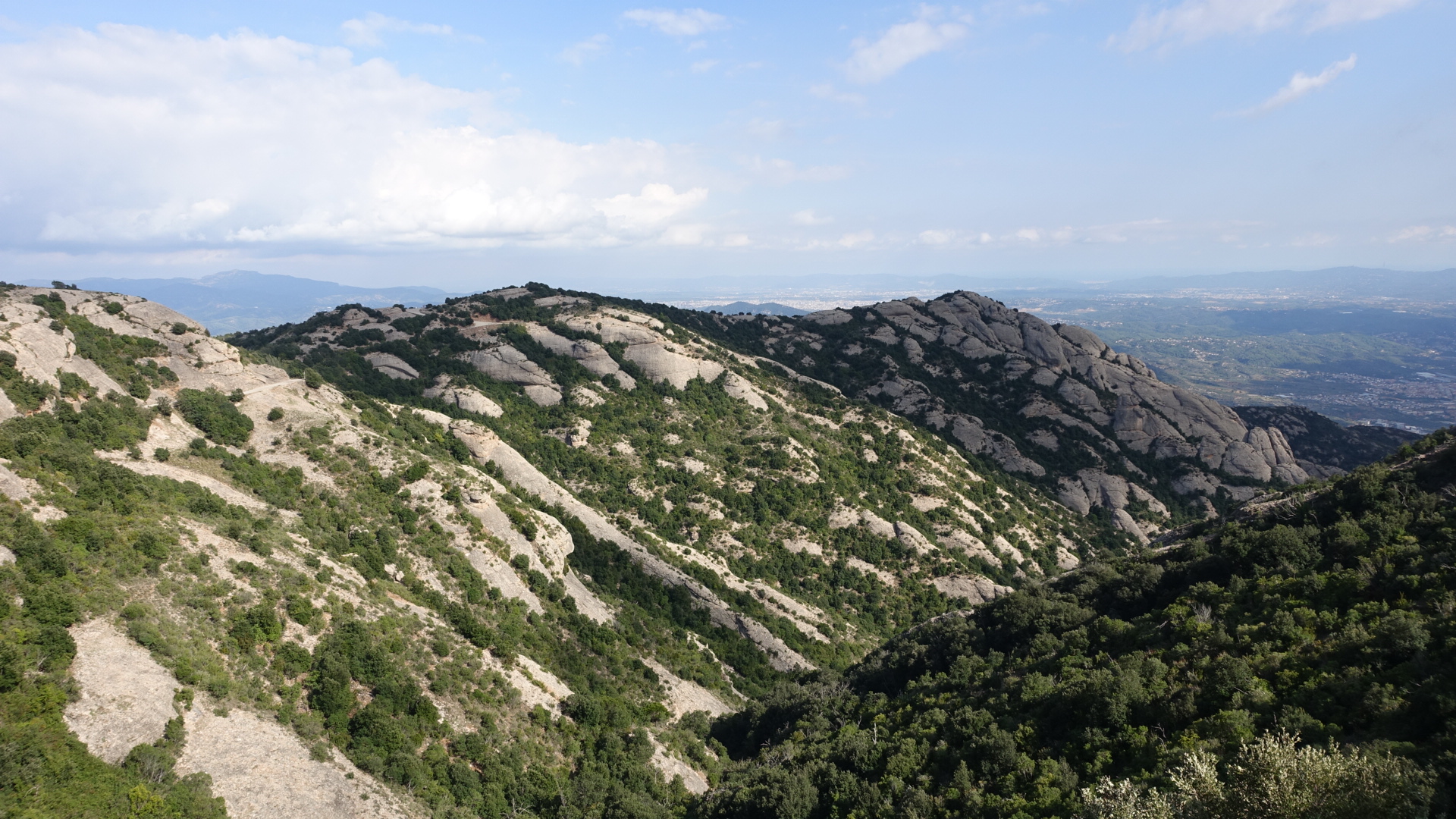 8A2BBA85-012E-4E18-8ACE-C6530C8BAC91