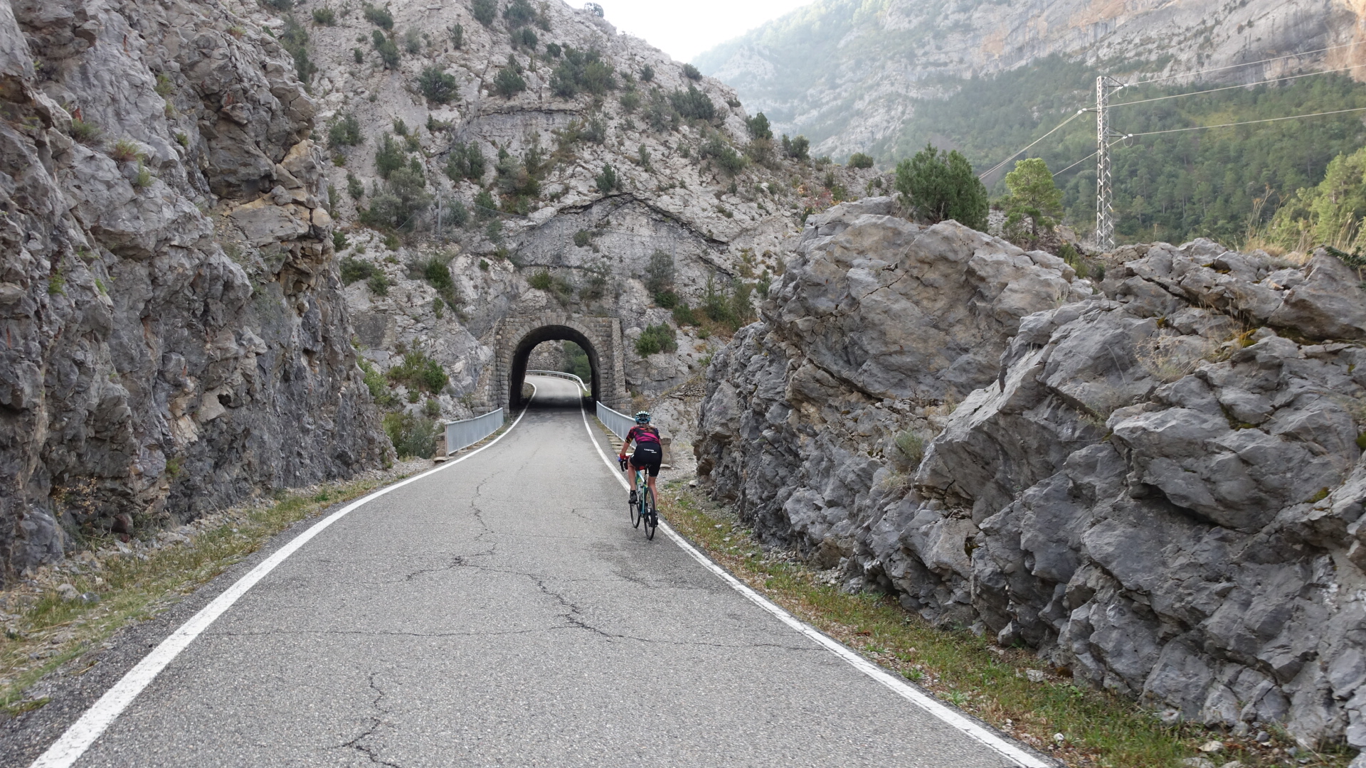 8C51D904-E1D6-421B-A7DC-320D28983C23